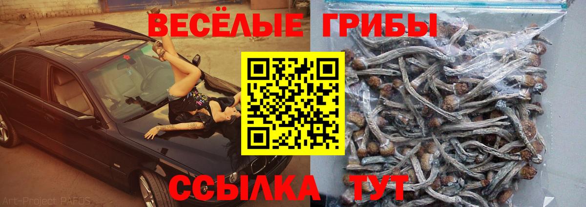 Псилоцибиновые грибы MAGIC MUSHROOMS  Вход с VPN  Грозный  Псилоцибиновые грибы MAGIC MUSHROOMS 